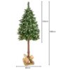 choinka na pniu sosna diamentowa 180cm 3
