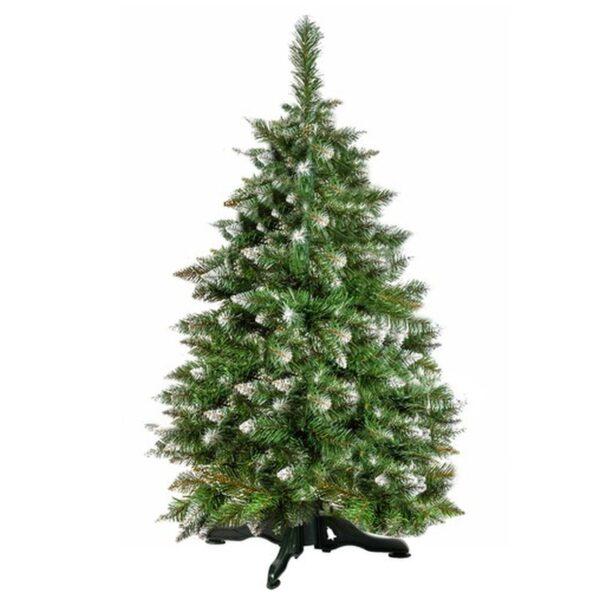choinka na pniu sosna diamentowa 180cm 5