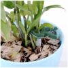 klipsy zapinki do roslin 108szt gardlov 22586 2