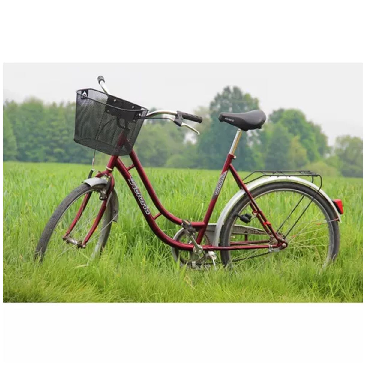 Koszyk Metalowy na Rower 23557 - Idealne Rozwiązanie dla Twojego Roweru-3 Koszyk Metalowy na Rower 23557 - Idealne Rozwiązanie dla Twojego Roweru-3