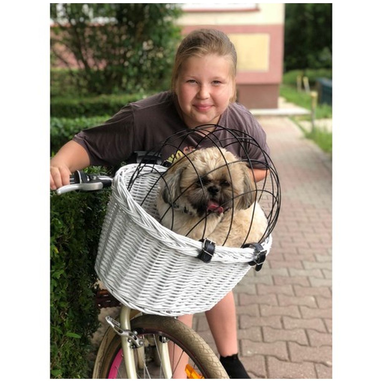 Koszyk Rowerowy dla Zwierząt Purlov 23972 - Stylowe i Bezpieczne Przewożenie Twojego Pupila-2 Koszyk Rowerowy dla Zwierząt Purlov 23972 - Stylowe i Bezpieczne Przewożenie Twojego Pupila-2
