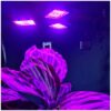 lampa 108 led do wzrostu roslin gardlov 20440 6