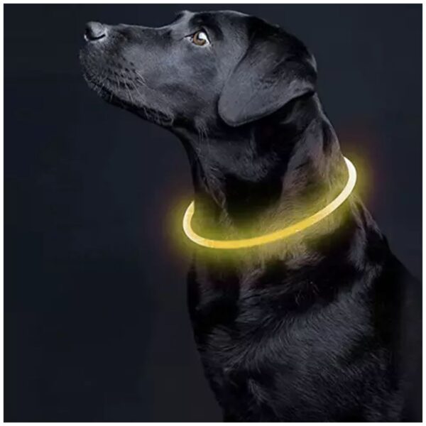 obroza swiecaca led regulowana purlov 21631 12
