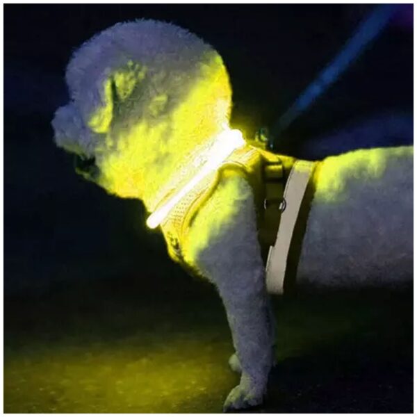 obroza swiecaca led regulowana purlov 21631 8