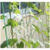 siatka podpora do roslin 2x10m gardlov 23978 7
