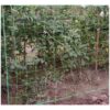 siatka podpora do roslin 2x10m gardlov 23978 8