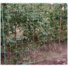 siatka podpora do roslin 2x20m gardlov 23980 7