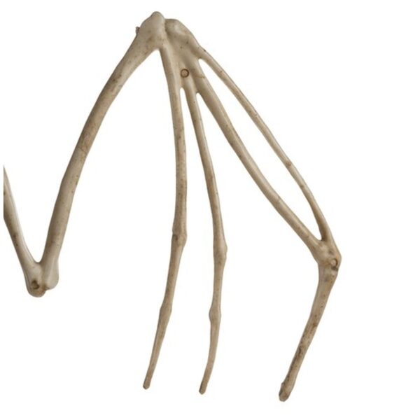 szkielet nietoperza dekoracja 30cm malatec 22005 2