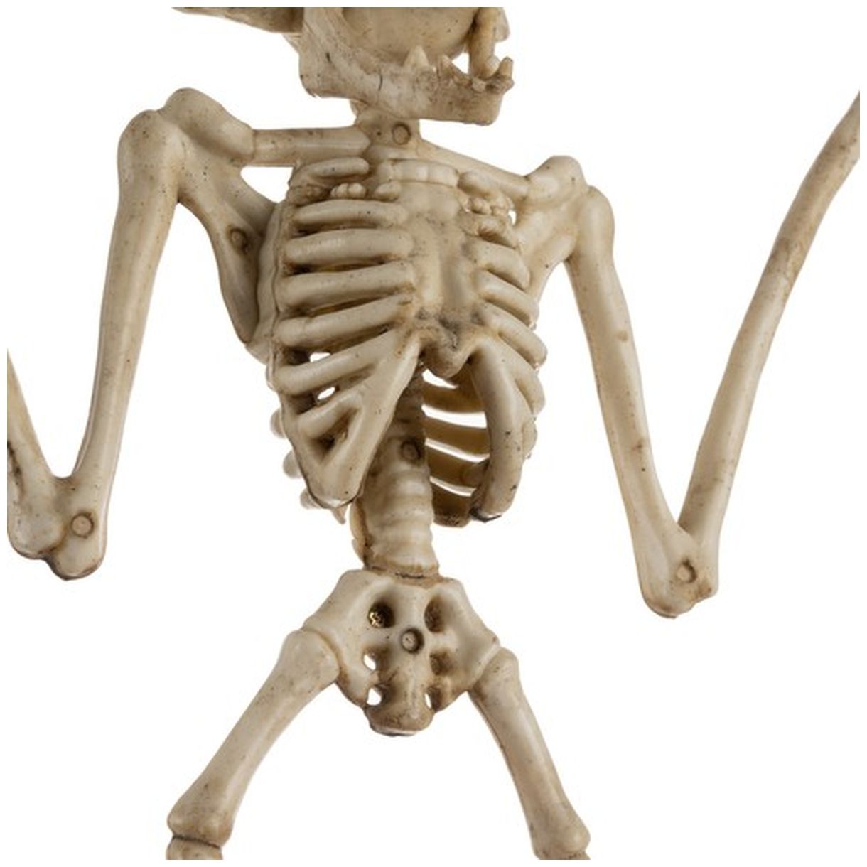 Szkielet Nietoperza - Dekoracja 30cm Malatec 22005 - Idealny na Halloween-2 Szkielet Nietoperza - Dekoracja 30cm Malatec 22005 - Idealny na Halloween-2