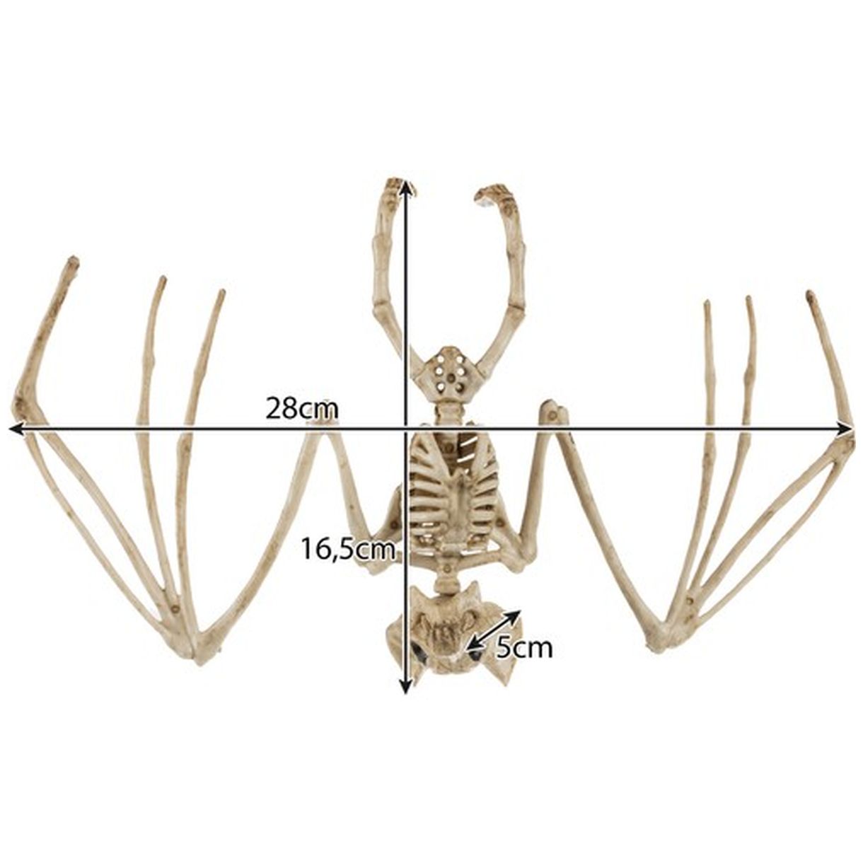 Szkielet Nietoperza - Dekoracja 30cm Malatec 22005 - Idealny na Halloween-1 Szkielet Nietoperza - Dekoracja 30cm Malatec 22005 - Idealny na Halloween-1