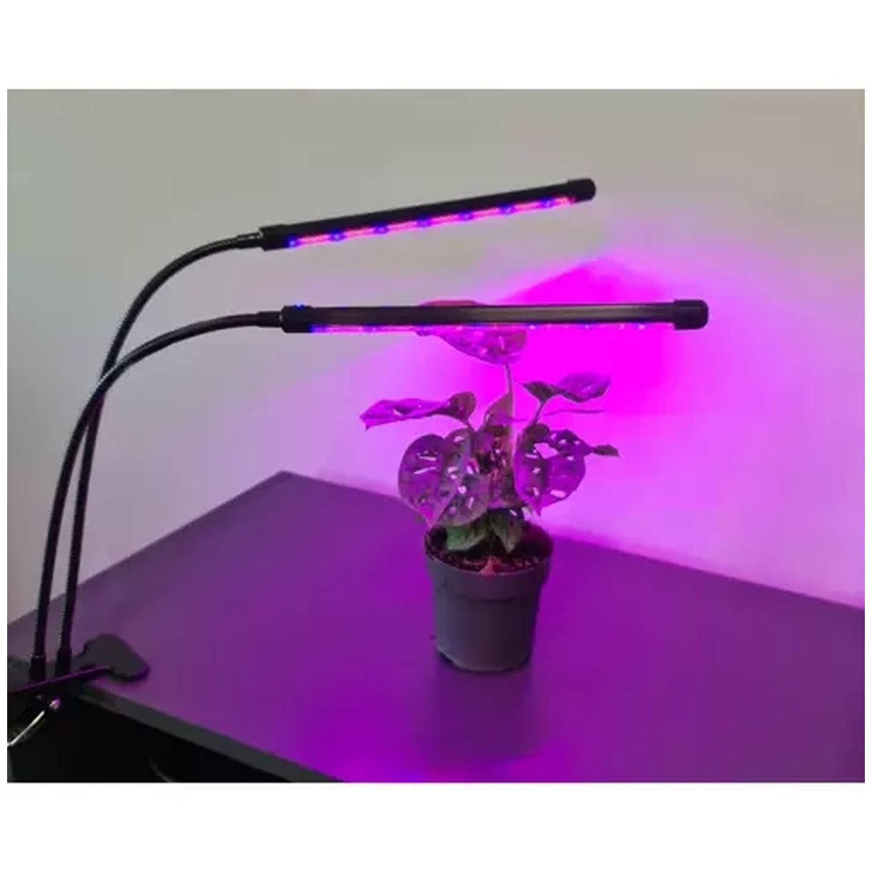 Lampa 20 LED 2szt. do wzrostu roślin Gardlov 19241 - Idealne Oświetlenie dla Twoich Roślin-1 Lampa 20 LED 2szt. do wzrostu roślin Gardlov 19241 - Idealne Oświetlenie dla Twoich Roślin-1