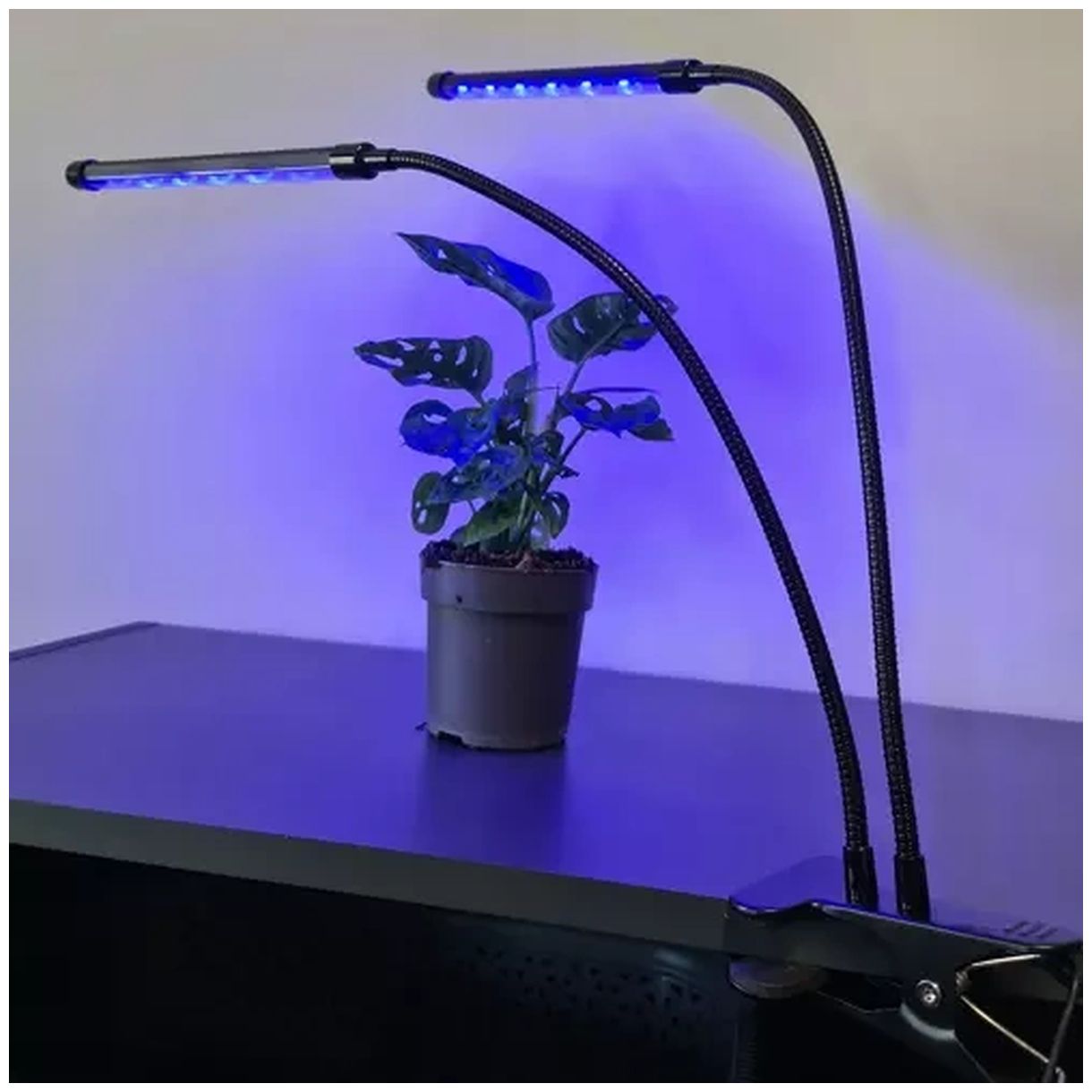 Lampa 20 LED 2szt. do wzrostu roślin Gardlov 19241 - Idealne Oświetlenie dla Twoich Roślin-3 Lampa 20 LED 2szt. do wzrostu roślin Gardlov 19241 - Idealne Oświetlenie dla Twoich Roślin-3