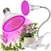lampa 200 led do wzrostu uprawy roslin 1