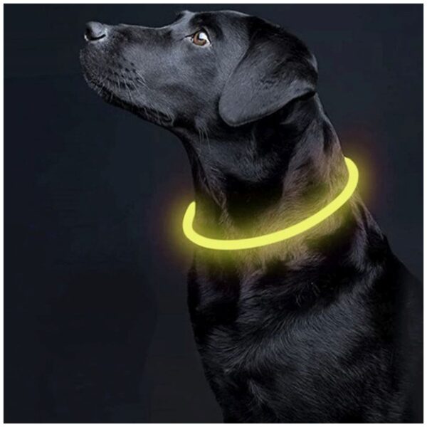 obroza swiecaca led regulowana purlov 24200 6