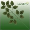 sztuczne liscie 47cm zestaw 12szt gardlov 22557 2