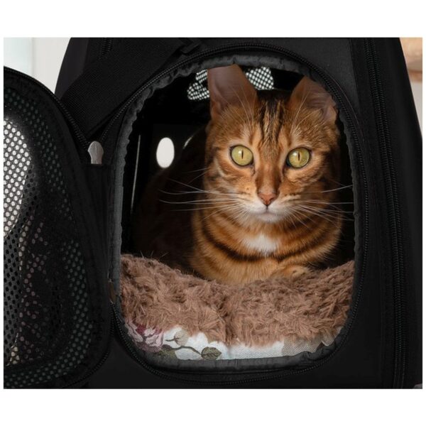 Close up of bengal cat in soft carry bag